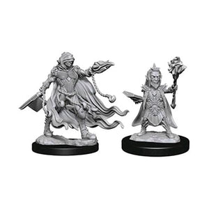 Evil Wizards (WizKids Deep Cuts Miniatures)