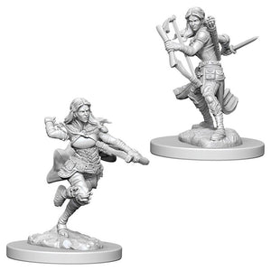 Female Air Genasi Rogue (D&D Nolzur's Marvelous Miniatures)