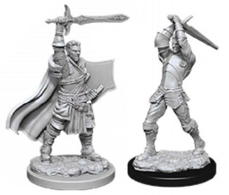 Male Human Paladin 2 (D&D Nolzur's Marvelous Miniatures)