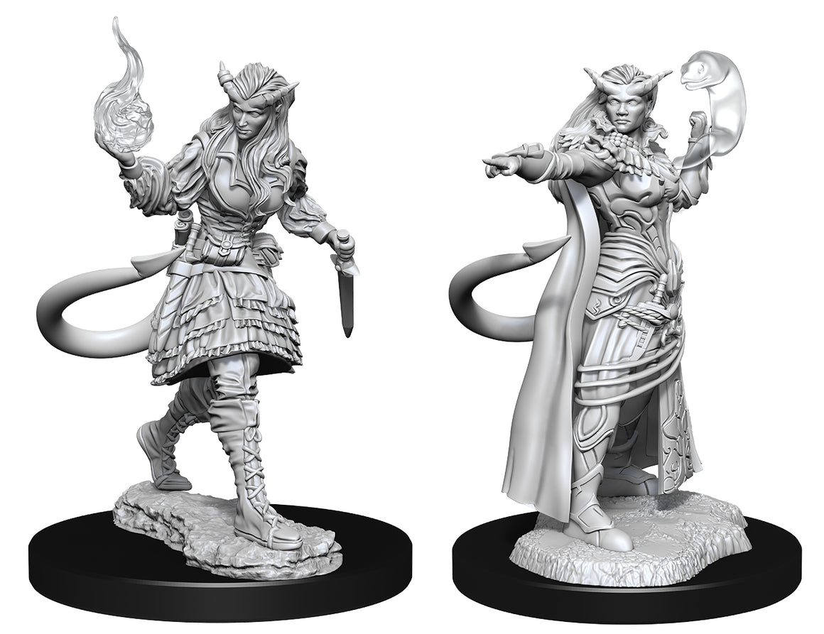 Female Tiefling Sorcerer (D&D Nolzur's Marvelous Miniatures)